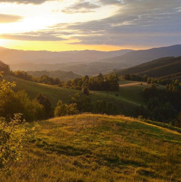slika kuće