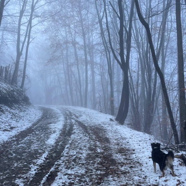 slika kuće