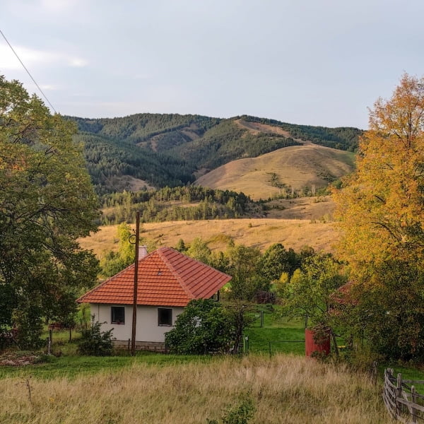 slika iz galerije